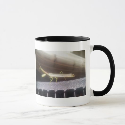 Mug Mante de prière (Droite)
