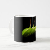 Mug Mante religieuse (Devant gauche)