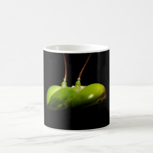 Mug Mante religieuse (Centre)