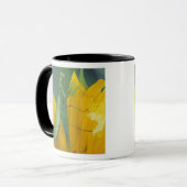Mug Mante religieuse femelle (Devant gauche)