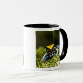 Mug Mantella à oreilles noires, Mantella expectata, 2 (Devant droit)
