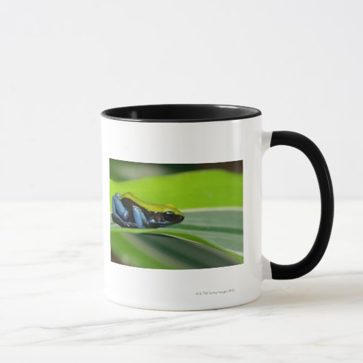 Mug mantella Vert-soutenu (Droite)