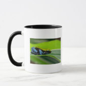Mug mantella Vert-soutenu (Gauche)