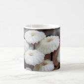 Mug Marasmius rotula Musique (Centre)