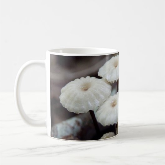 Mug Marasmius rotula Musique (Gauche)