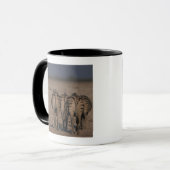 Mug Marche des zèbres de Burchell (Devant gauche)