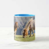 Mug Mare avec Foal, îles Shetland, Ecosse (Centre)