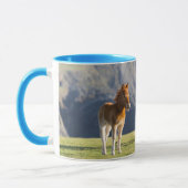 Mug Mare avec Foal, îles Shetland, Ecosse (Gauche)