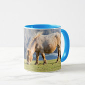 Mug Mare avec Foal, îles Shetland, Ecosse (Devant droit)