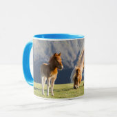 Mug Mare avec Foal, îles Shetland, Ecosse (Devant gauche)