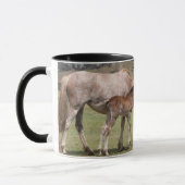 Mug Mare & Colt au cratère volcanique de Rano Raraku (Gauche)