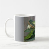 Mug Marianne North - Custard Apple Art (Gauche)