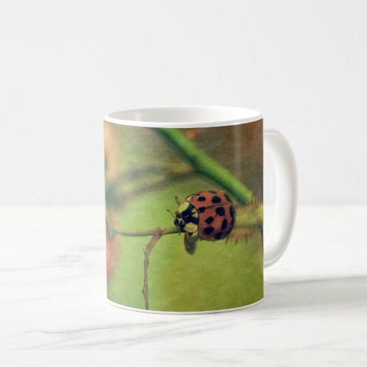 Mug Marienkäfer in der Natur (Devant droit)