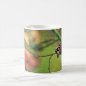 Mug Marienkäfer in der Natur (Centre)