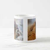 Mug marmotte (Centre)