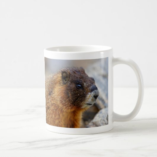 Mug marmotte (Droite)
