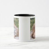 Mug Marmotte à ventre jaune, Marmota flaviventris, (Centre)