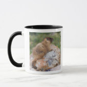 Mug Marmotte à ventre jaune, Marmota flaviventris, (Gauche)