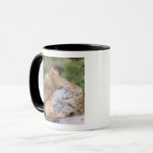 Mug Marmotte à ventre jaune, Marmota flaviventris, (Devant gauche)