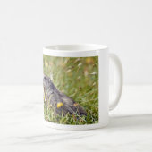 Mug Marmotte alpine près de la fleur (Devant droit)