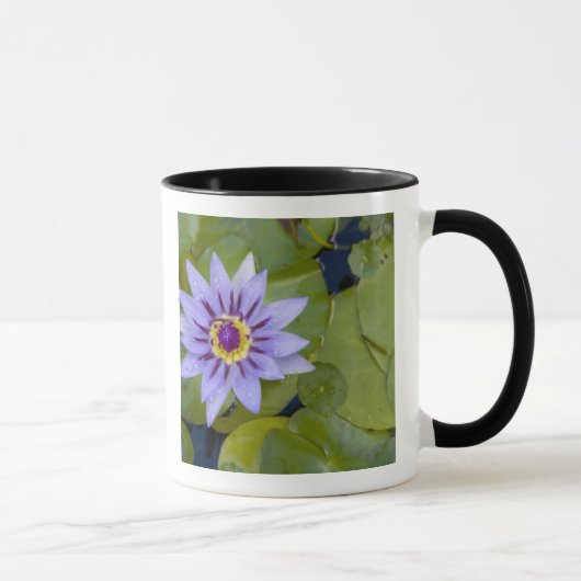 Mug Martinique, Antilles, Antilles, Antilles, Bleu (Droite)