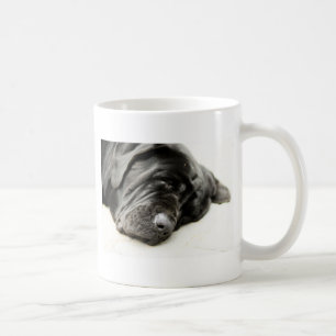Mug Mastiff napolitain