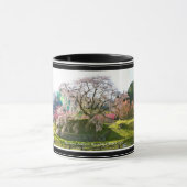 Mug Matabei-Zakura Weeping Cherry Tree (Centre)