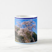 Mug Matabei-Zakura Weeping Cherry Tree (Centre)