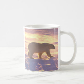 Mug Matin 3 d'ours blanc
