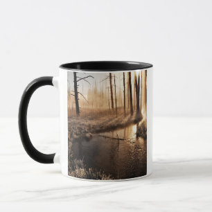 Mug Matin givré de Yellowstone