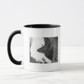 Mug Maui, Hawaii - L'aiguille de la vallée d'Iao (Gauche)