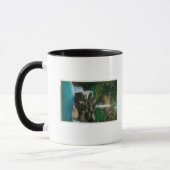 Mug McCord Creed Falls sur Columbia River (Gauche)