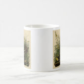 Mug Meadow Lark from Audubon's Birds of America (Centre)