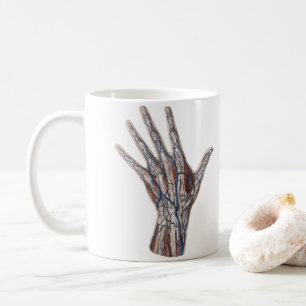 Mug Médecine Ancienne, Anatomie Humaine Mains Doigts