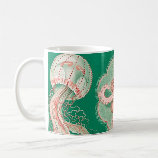 Mug Méduse, Discomedusae par Ernst Haeckel (Gauche)
