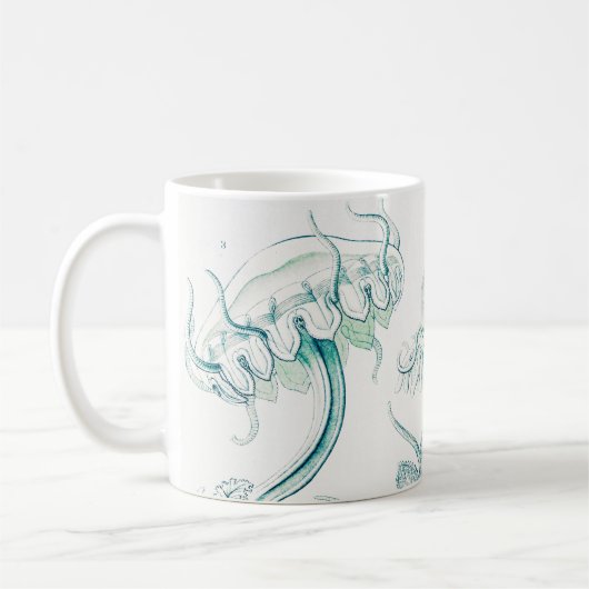 Mug Méduse, Discomedusae par Ernst Haeckel (Gauche)