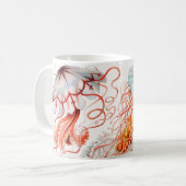 Mug Méduse, Discomedusae par Ernst Haeckel (Devant gauche)