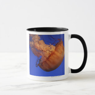 Mug Méduses d'ortie de mer