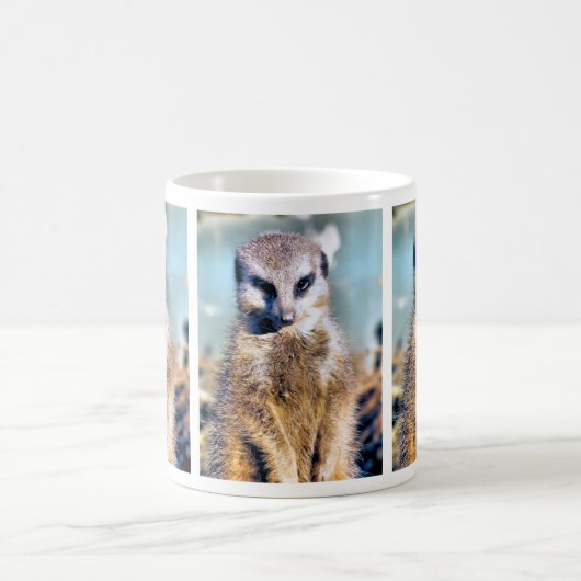 MUG MEERKAT (Centre)