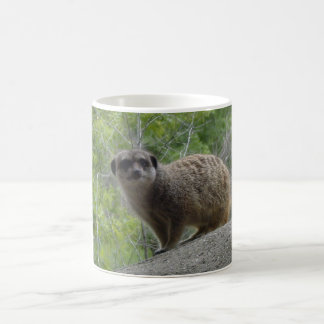 Mug Meerkat