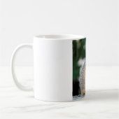 Mug Meerkat_2015_0103 (Gauche)