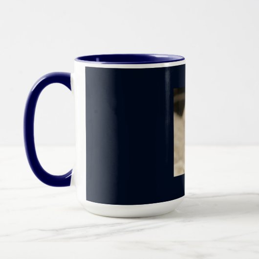 Mug Meerkat_2015_0405 (Gauche)