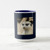 Mug Meerkat_2015_0405 (Centre)