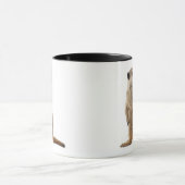 Mug Meerkat ou Suricate - suricatta de Suricata (Centre)