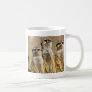 Mug Meerkats