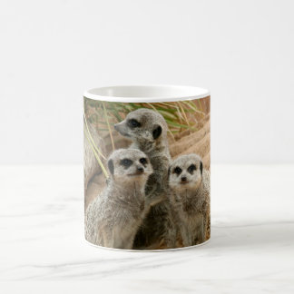 Mug Meerkats sur la surveillance