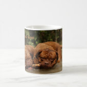 Mug Meilleurs amis (Centre)