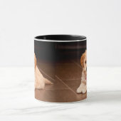 Mug Mélange de caniche de bébé ou chiot maltais de (Centre)