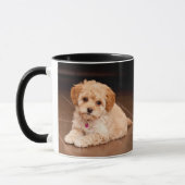 Mug Mélange de caniche de bébé ou chiot maltais de (Gauche)
