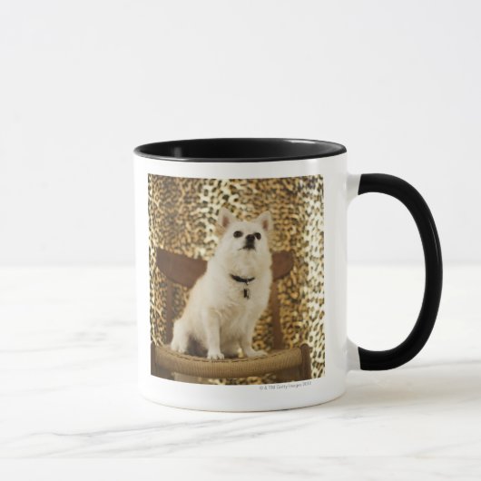 Mug Mélange de Pomeranian (Droite)